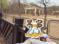 -石家庄市动物园