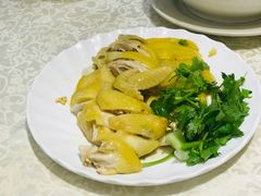 -巫记鸡饭店