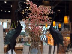 -猫的天空之城概念书店(杭州南宋御街店)