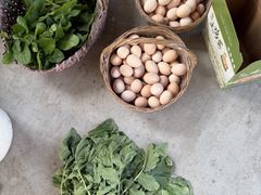 -马陆小张葡萄园农家乐