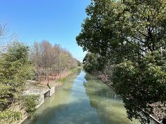 -上海长兴岛郊野公园