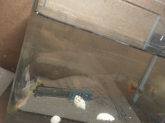 -CGV影城(梅江ScreenX店)