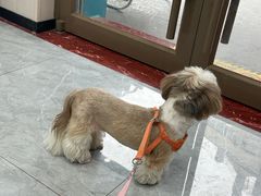 -安安宠医·臻爱宠物医院·宠保定点(营门口路分院)