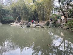 -汇龙潭