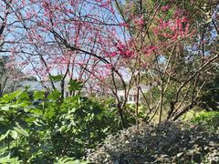 -棕榈岛海鲜自助餐厅(虹桥迎宾馆店)