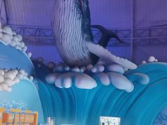 -烟台海昌鲸鲨海洋公园