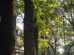 -岳麓山风景名胜区