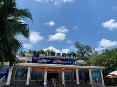 -北海海底世界
