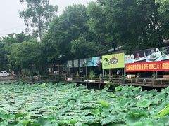 -蜀宴新村·柴火鸡(柏水店)