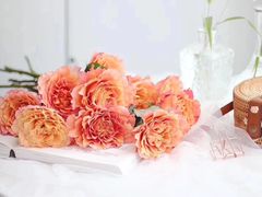 -金陵之星大酒店·中餐厅