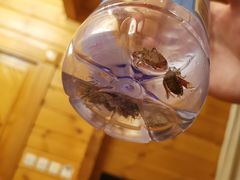 -静之湖湖畔餐厅