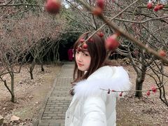 -香雪海