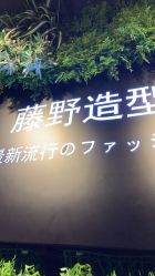 点击看大图 -藤野造型