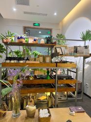 -芳香乐府疗愈空间·SPA·冥想