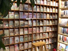-猫的天空之城概念书店(丽江古城饮玉巷店)