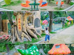 -东湖欢乐水世界