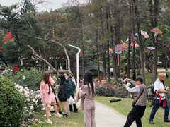 -人民公园(罗湖区)