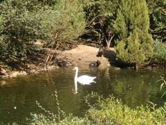 -长白岛森林公园