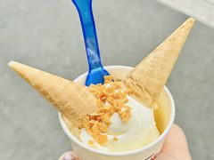 -恩宁雪糕行(永庆坊店)