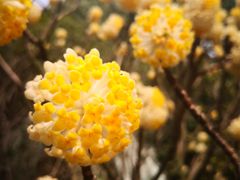 -芜湖方特旅游度假区