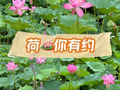 -迎泽公园