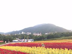 -光明小镇欢乐田园