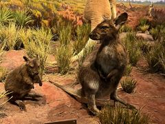 -陕西自然博物馆