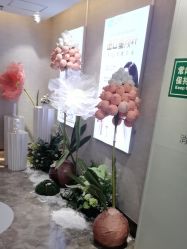 -深圳鹏爱秀琪医疗美容医院
