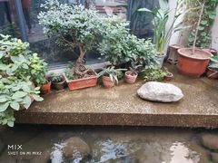 -泉乐坊步行街(烟酒特产平价超市店)