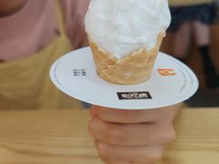 -野人先生Gelato(上海长宁龙之梦店)