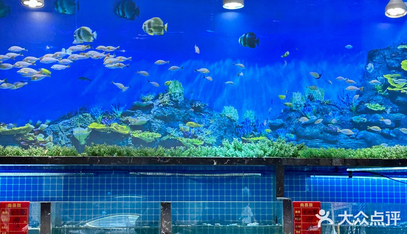 尚蒸燚蒸汽海鲜🦞上海人的快乐老家🌊