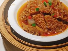 柱侯金钱肚-钟菜·粤菜点心·宴请(海上世界·汇港二期店)
