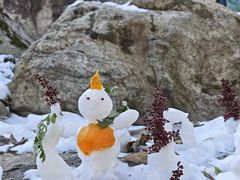 -秦岭终南山世界地质公园翠华山景区