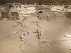 -洛阳周王城天子驾六博物馆