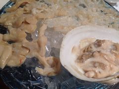 象拔蚌刺身-春秋火锅(复兴中路店)