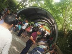 -人民公园-相亲角