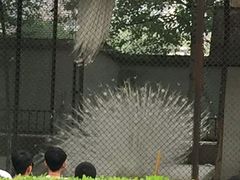 -太原动物园