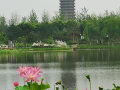 -西海子公园