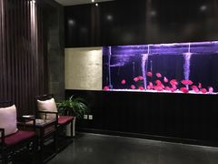 -大唐盲人按摩中心(黄山路店)
