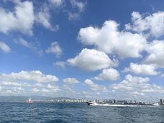 -小猫钓鱼海钓俱乐部(椰梦长廊店)