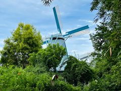 -华侨城湿地公园