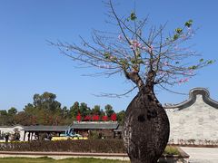 -香山湖公园