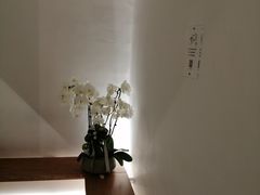 -光作面包Voila Lumiere(中山店)