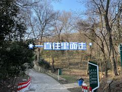 -南京老山国家森林公园