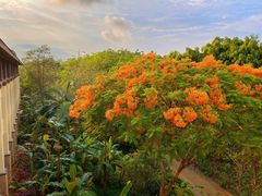 -西双版纳融创皇冠假日度假酒店