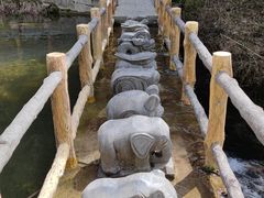 -王顺山国家森林公园