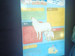 -上海海昌海洋公园-冰山北极馆