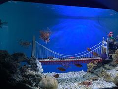 -太平洋海底世界