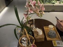 -施奈儿.洗头頭療.按摩SPA.采耳(上梅林店)