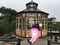 -大塘金香草谷